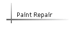 Paint Repair